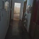 Angelo *